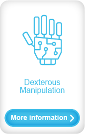 Dexterous Manipulation