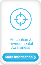 Perception and Environmental Awareness