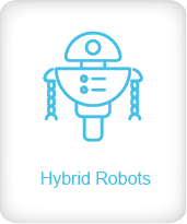 Hybrid Robot