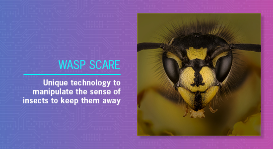 Wasp Scare Wasp Scare