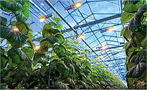 Transforming Market Dynamics - Leading Innovations in Technology for Emerging Industries