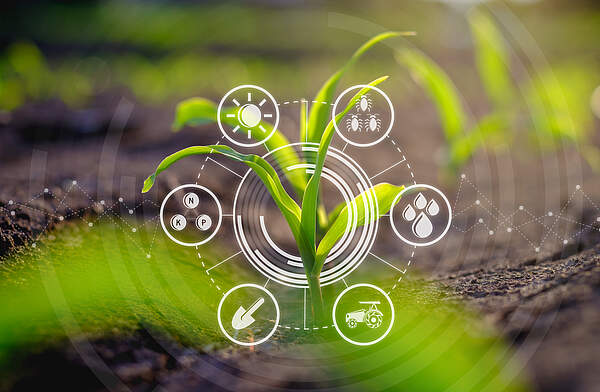 Smart agriculture Smart agriculture