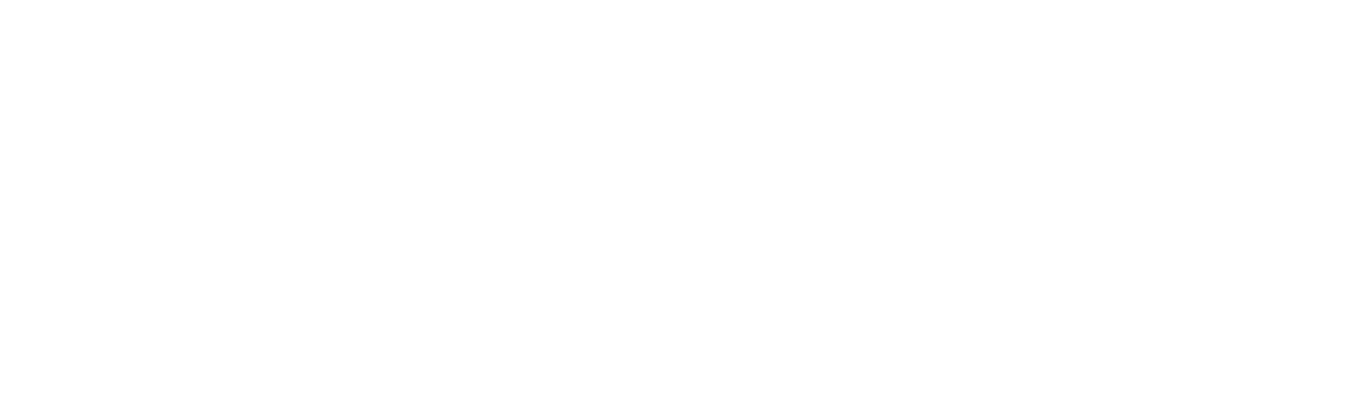 Bosch Logo white