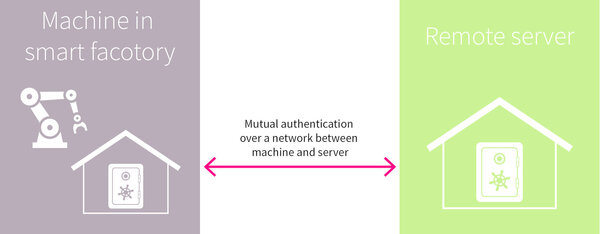 Mutual Authentication Security Illustration
