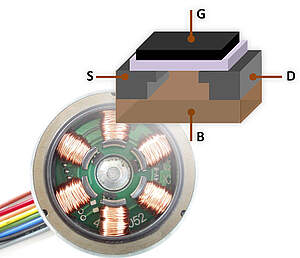 Stator Wicklung eines BLDC Motors - Präzise Technologie
