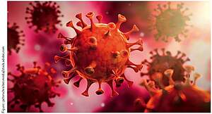 Virus