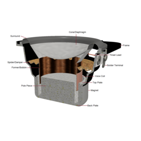 Construction of a dynamic loudspeaker