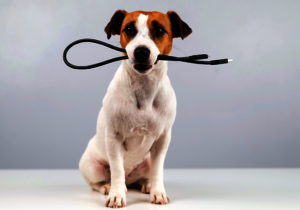 How PROFET Wire Guard Protects Your Electrical System from Unexpected Hazards How PROFET Wire Guard Protects Your Electrical System from Unexpected Hazards