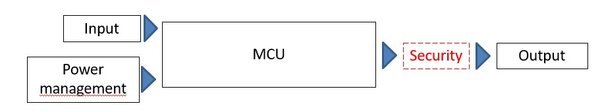 Figure 2: Greatly simplified setup of an IoT device with additional security hardware