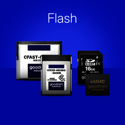Flash Memory Flash Memory