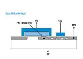 The memories are programmed (left) by charging the floating gate. If necessary, a larger voltage pulse (right) can be applied to clear the charge. The written data are represented by a bit pattern of charged and uncharged gates. 