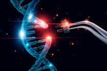A DNA strand is biotechnologically extended