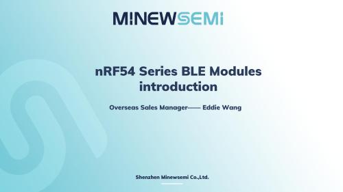 Thumbnail: MinewSemi Webinar