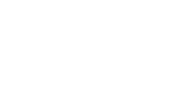 fsp Logo: fsp
