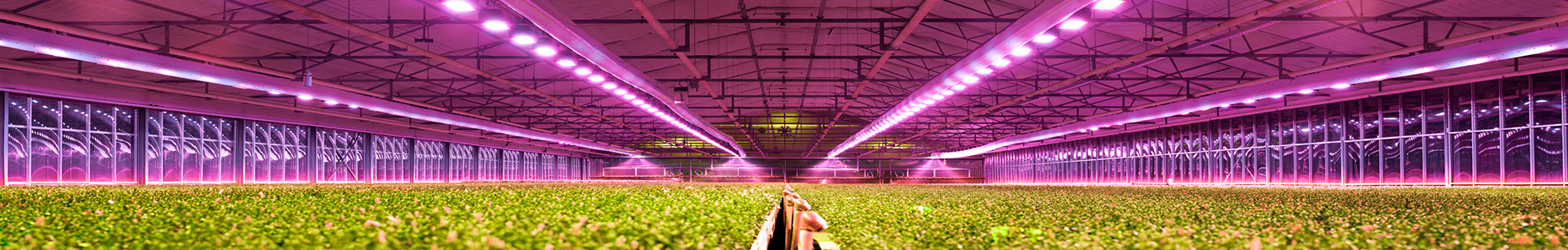 Oram Horticulture Solutions